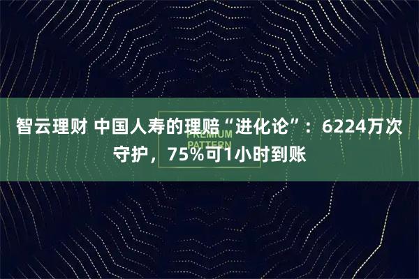 智云理财 中国人寿的理赔“进化论”：6224万次守护，75%可1小时到账
