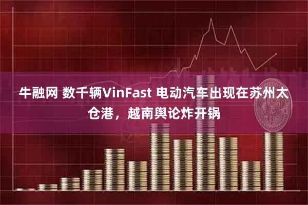 牛融网 数千辆VinFast 电动汽车出现在苏州太仓港，越南舆论炸开锅